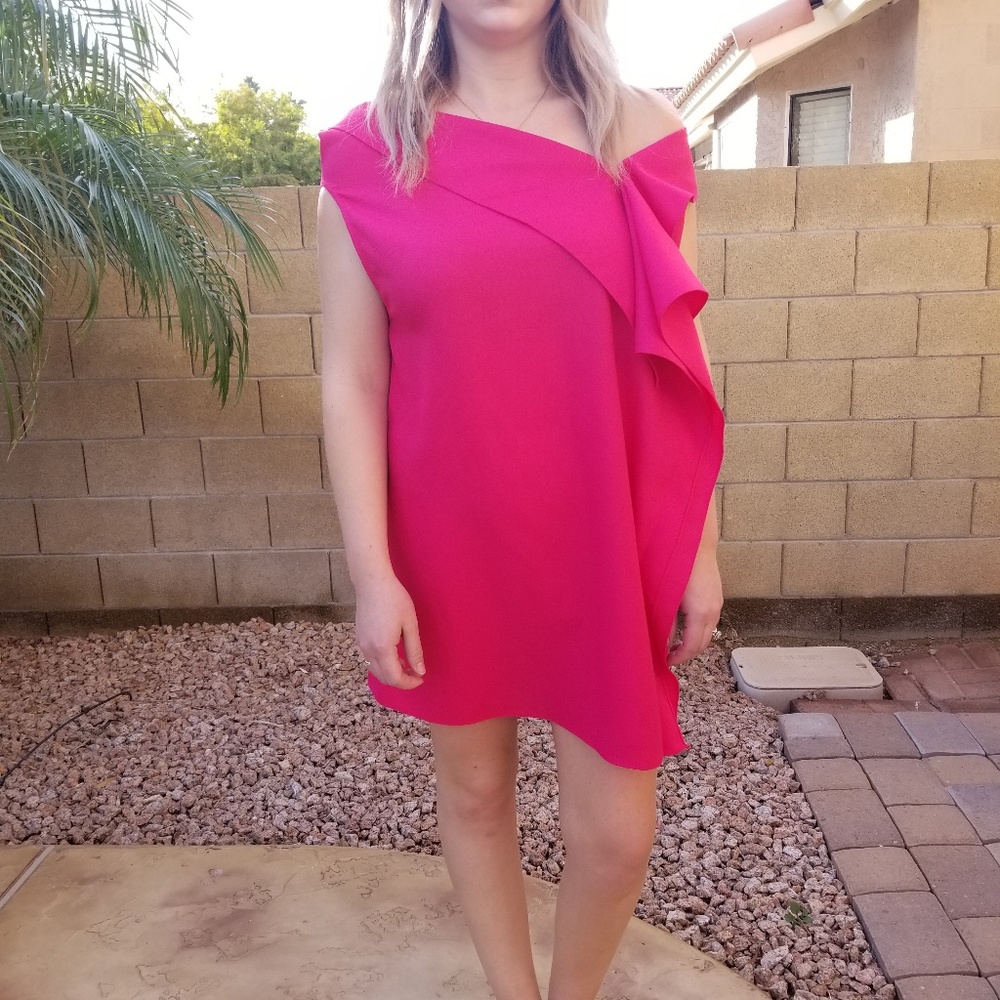 NWT Thayer Fushia Mini Dress Size Large